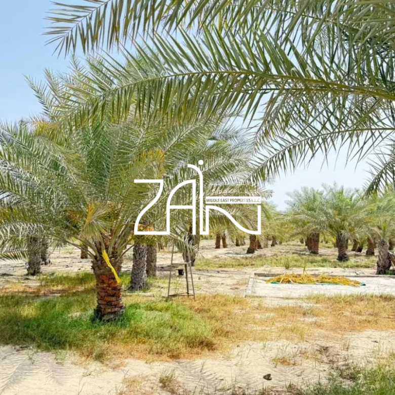 High ROI | Agricultural Plot |North Dihan